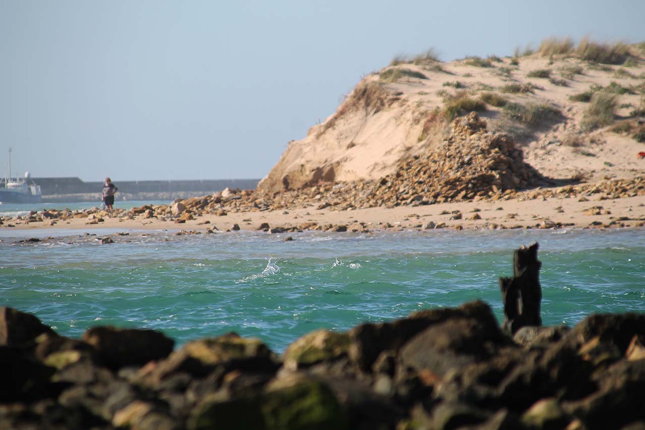 Río Barbate