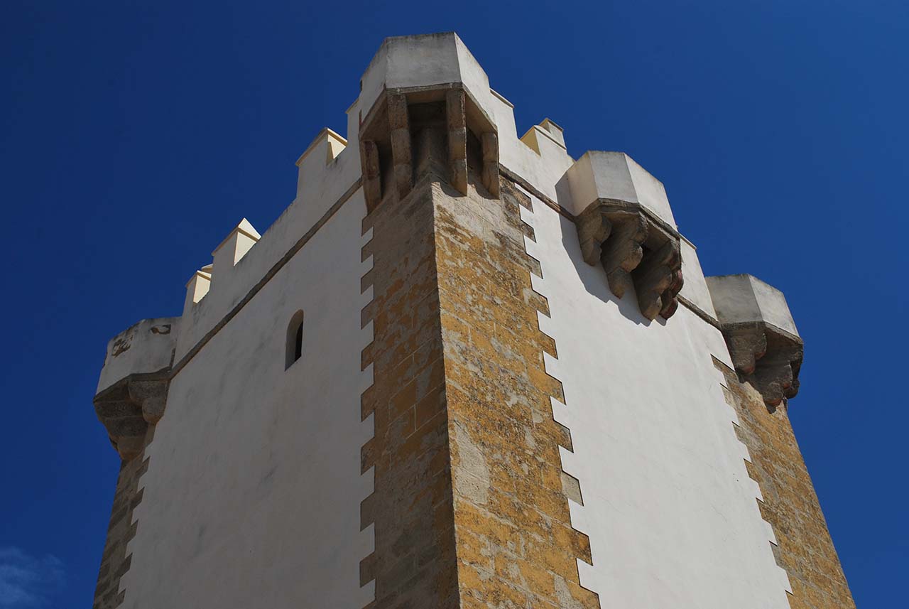 Castillo-Torre de Guzmán